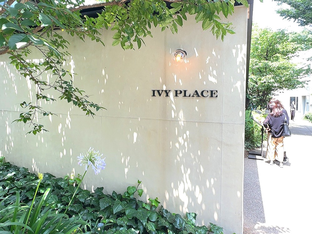 代官山『IVY PLACE』の魅力